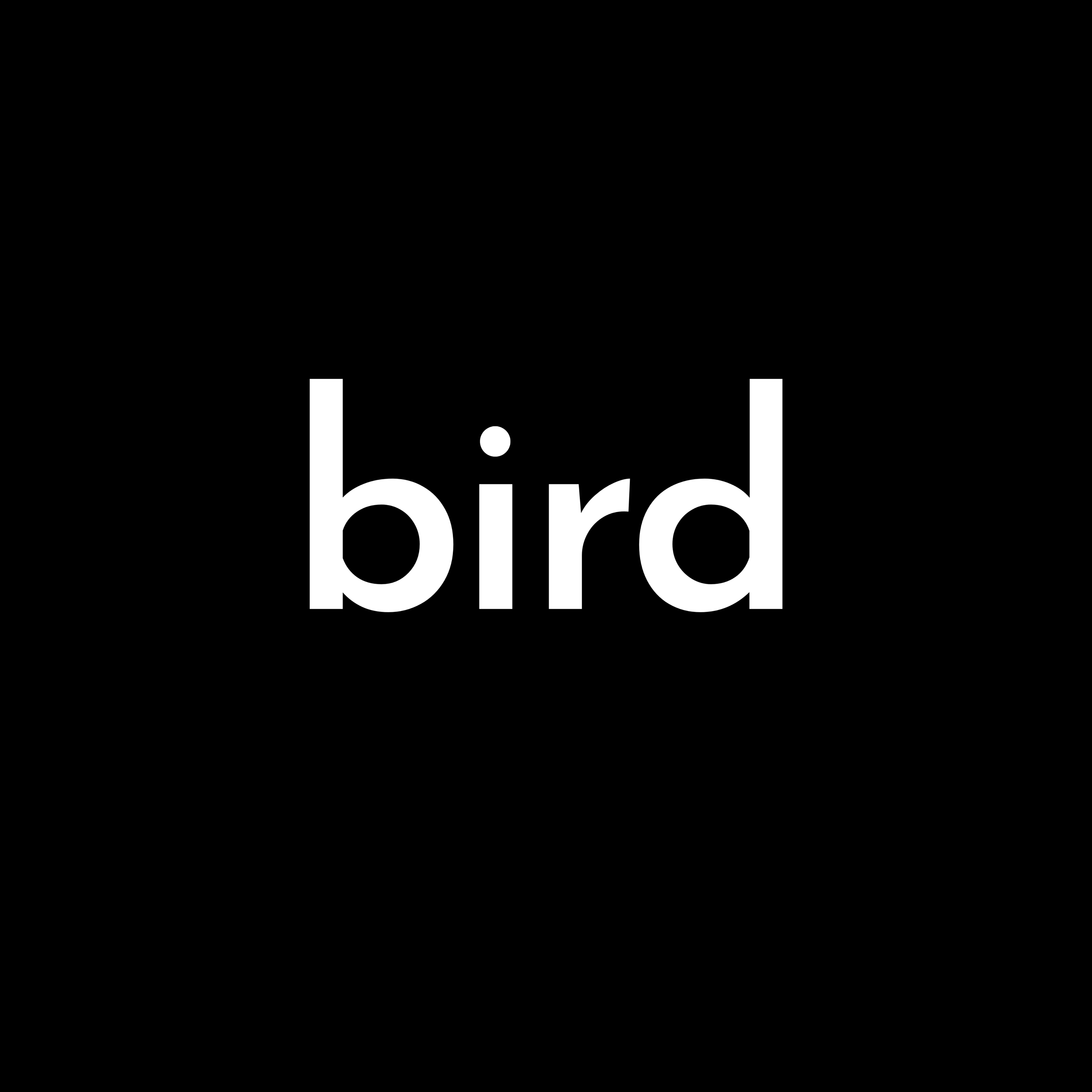 bird